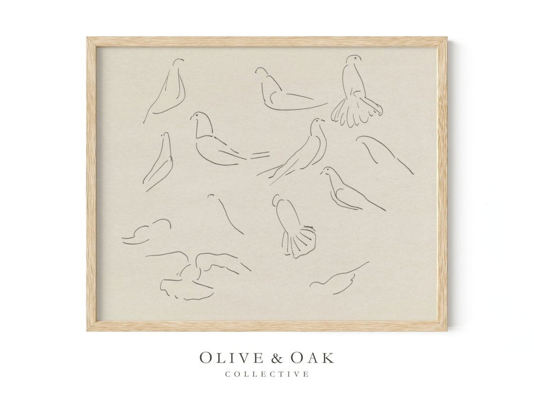 115. DOVE STUDY - Olive & Oak Collective