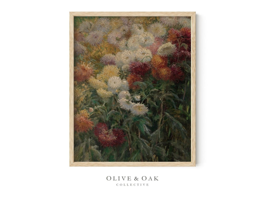 118. CHRYSANTHEMUMS - Olive & Oak Collective