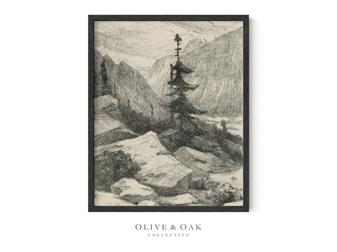 142. ALPINE SKETCH I - Olive & Oak Collective