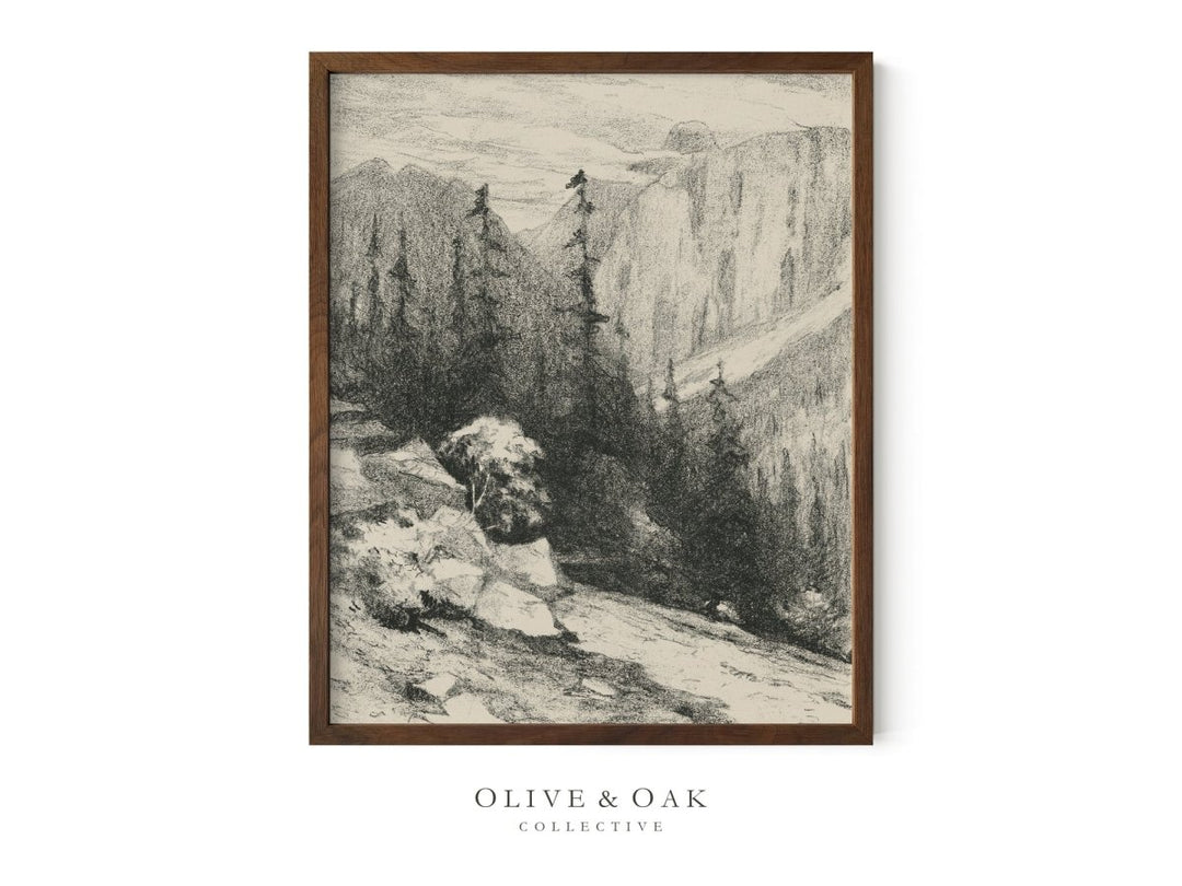 142. ALPINE SKETCH II - Olive & Oak Collective