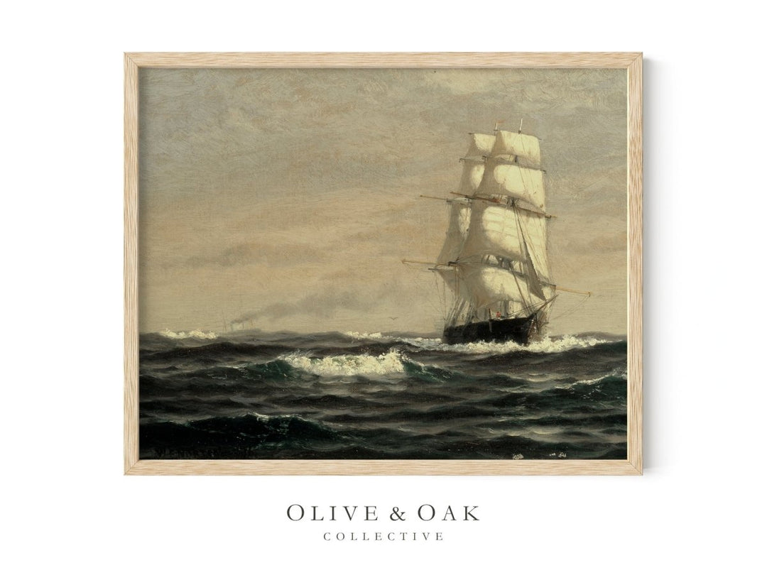 144. SCHOONER I - Olive & Oak Collective