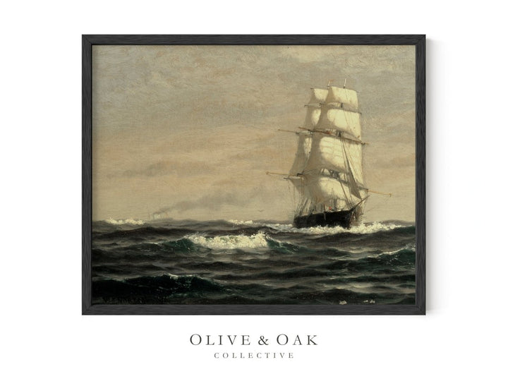 144. SCHOONER I - Olive & Oak Collective