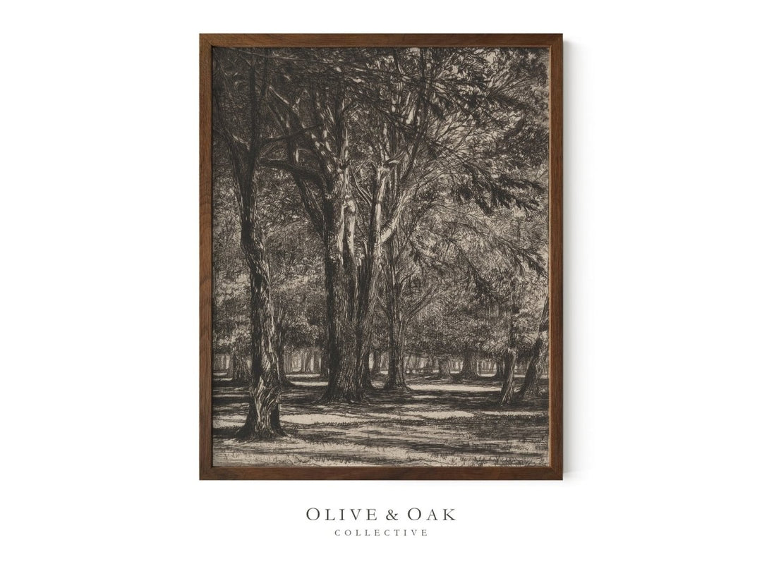 153. KENSINGTON GARDENS - Olive & Oak Collective