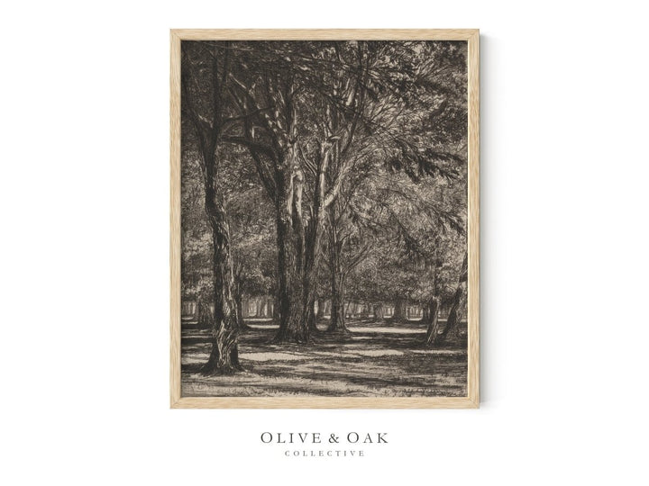 153. KENSINGTON GARDENS - Olive & Oak Collective