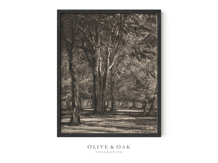 153. KENSINGTON GARDENS - Olive & Oak Collective