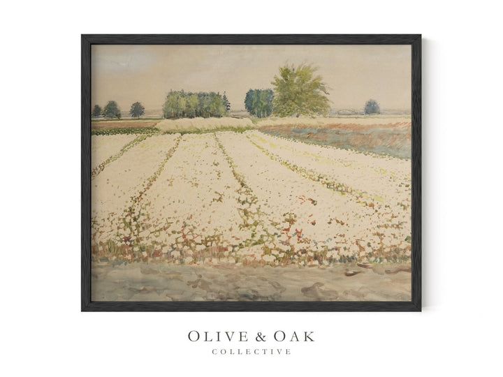 165. FLOWER FARM - Olive & Oak Collective