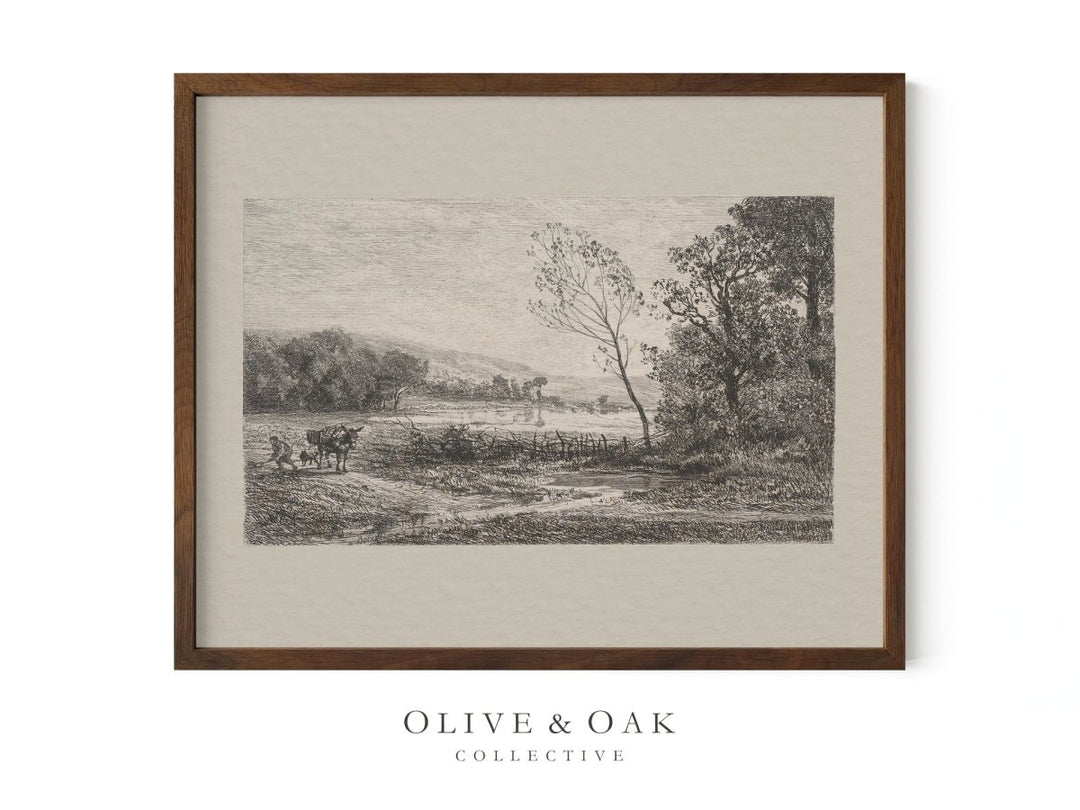 201. MULE - Olive & Oak Collective