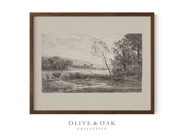 201. MULE - Olive & Oak Collective