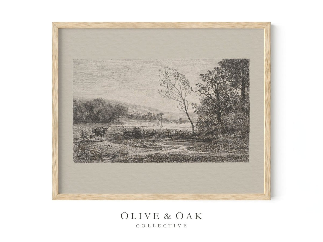 201. MULE - Olive & Oak Collective