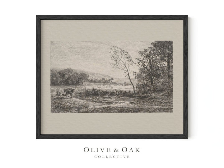 201. MULE - Olive & Oak Collective