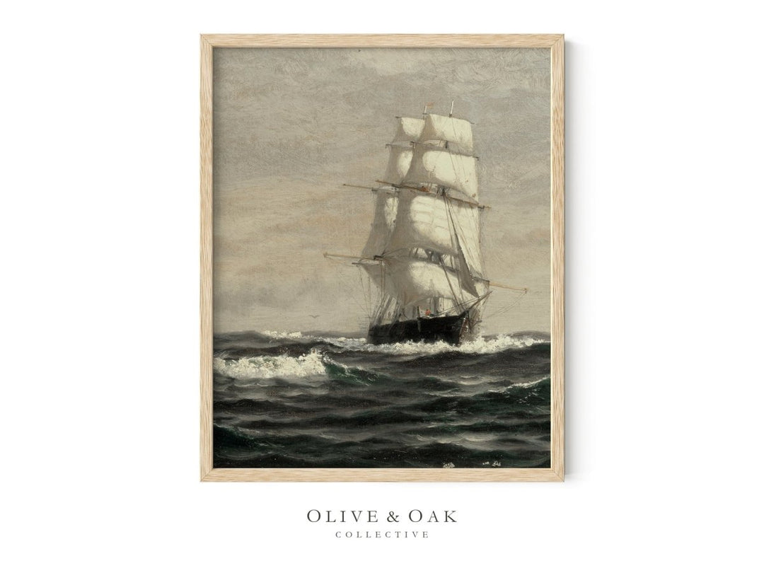 277. SCHOONER II - Olive & Oak Collective