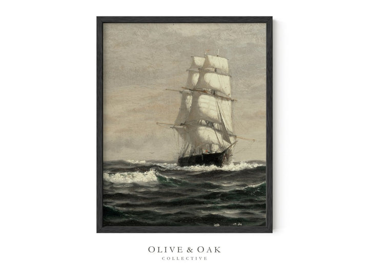 277. SCHOONER II - Olive & Oak Collective