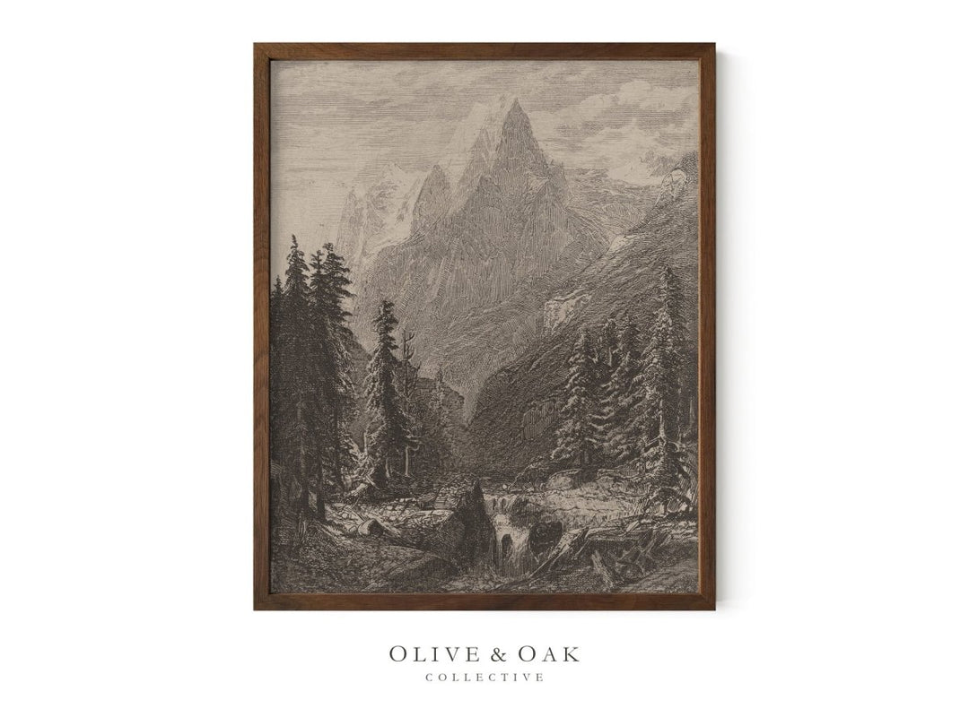 289. SUMMIT - Olive & Oak Collective