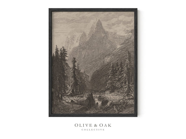 289. SUMMIT - Olive & Oak Collective