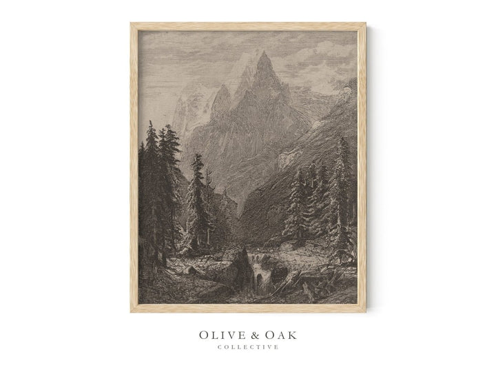 289. SUMMIT - Olive & Oak Collective