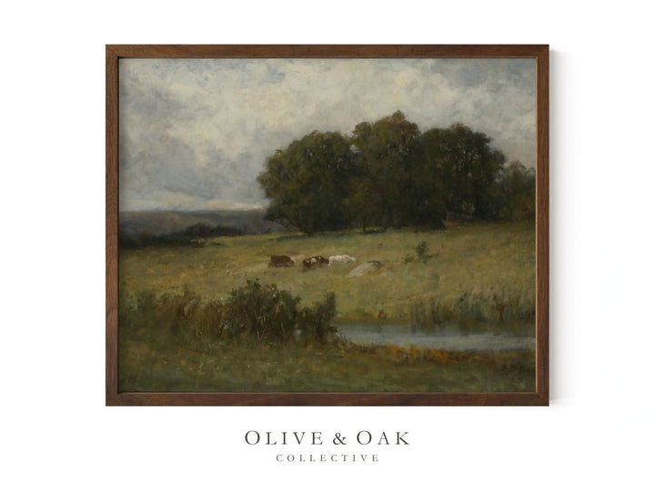 3. GRAZE - Olive & Oak Collective