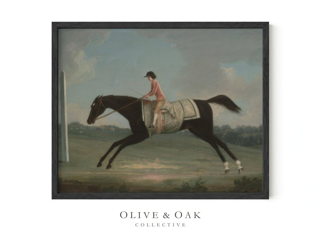 303. JOCKEY - Olive & Oak Collective