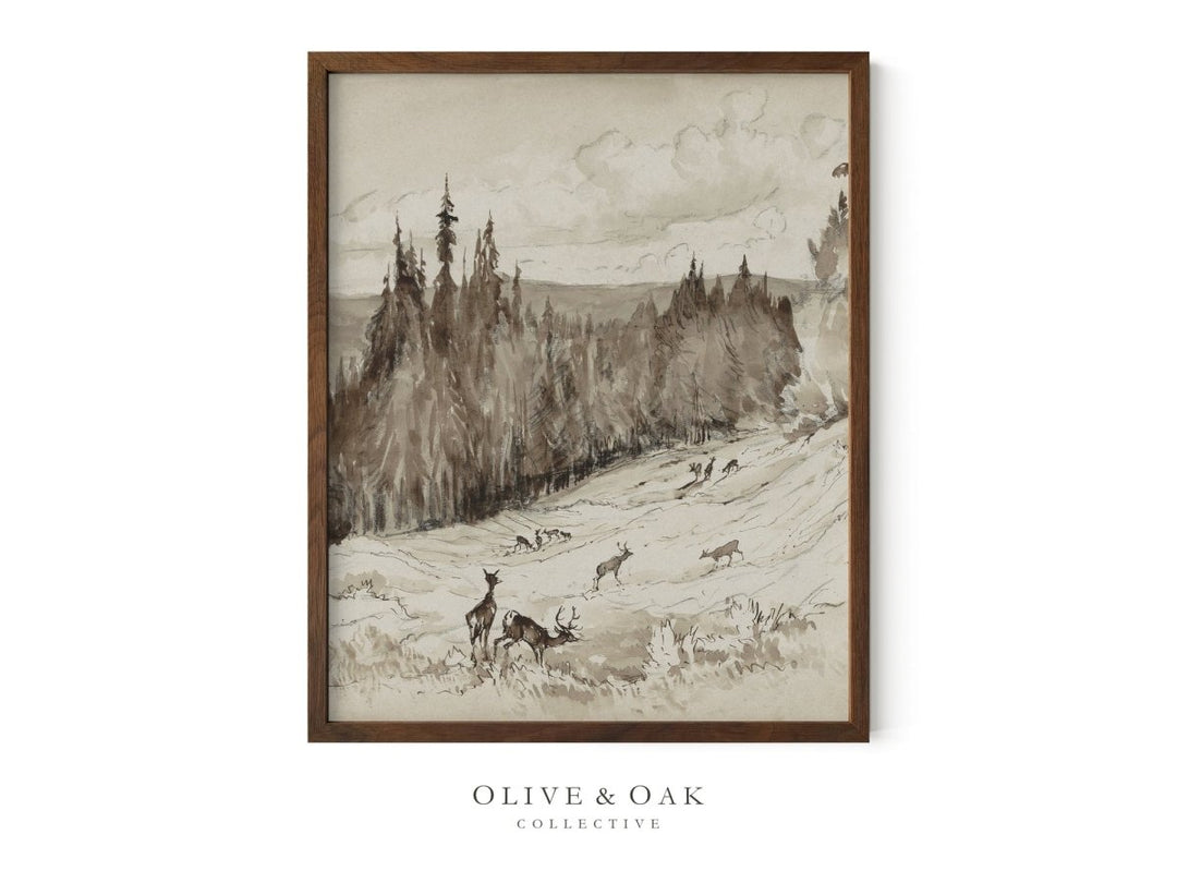 318. DEER SKETCH II - Olive & Oak Collective