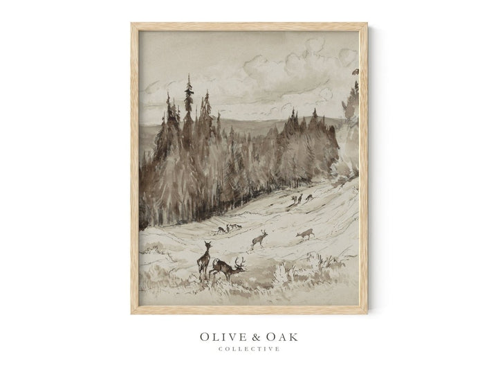 318. DEER SKETCH II - Olive & Oak Collective