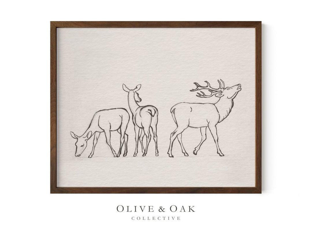 358. ELK SKETCH - Olive & Oak Collective