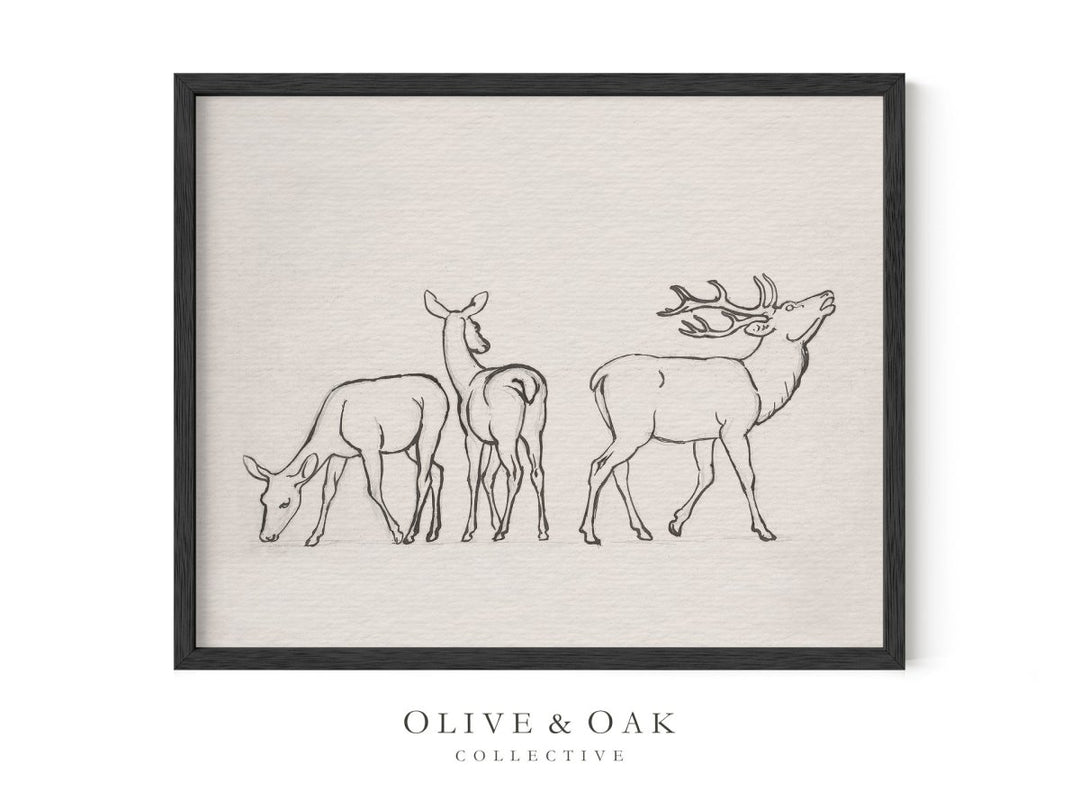358. ELK SKETCH - Olive & Oak Collective