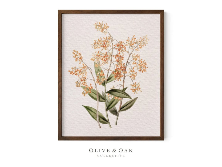 367. ORANGE FLOWERS - Olive & Oak Collective