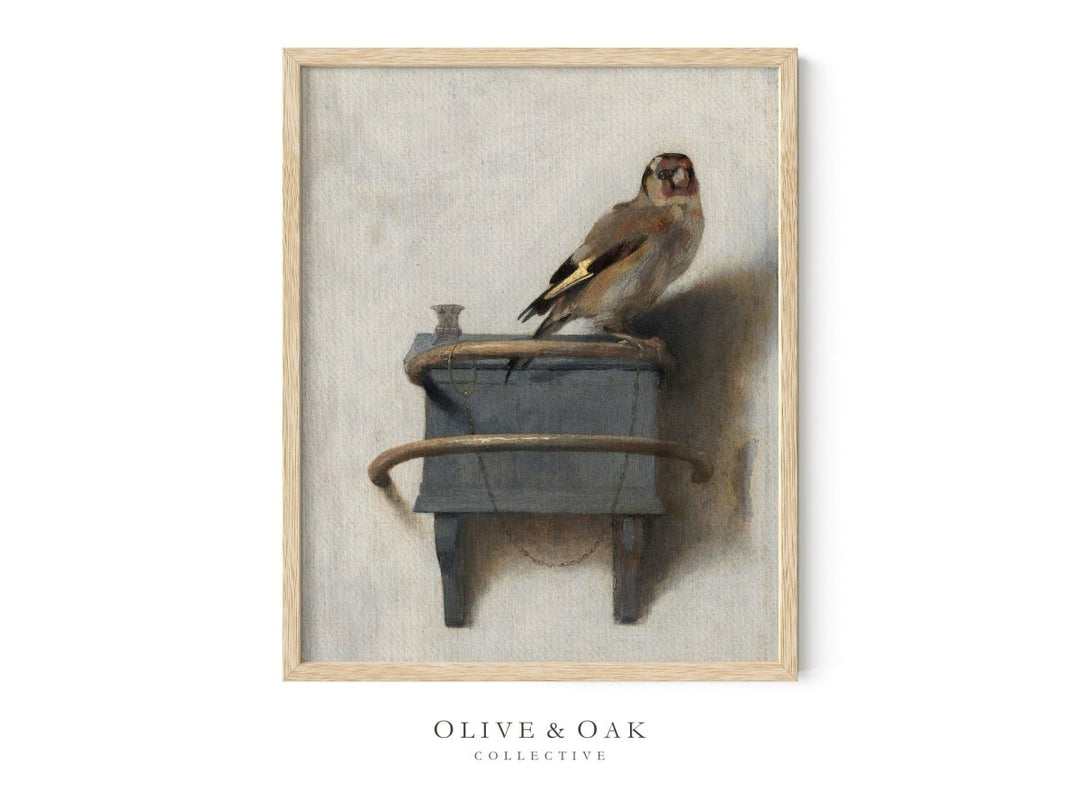 368. FINCH - Olive & Oak Collective