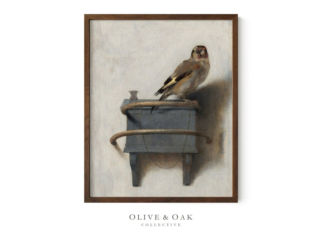 368. FINCH - Olive & Oak Collective