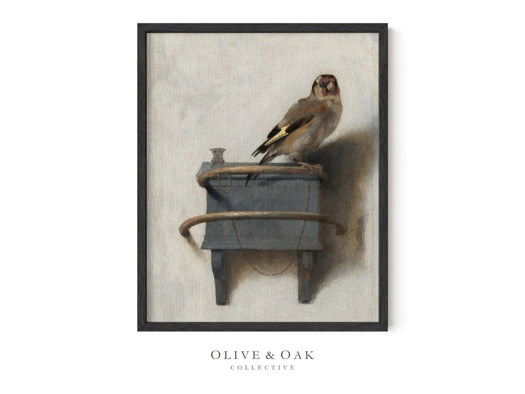 368. FINCH - Olive & Oak Collective