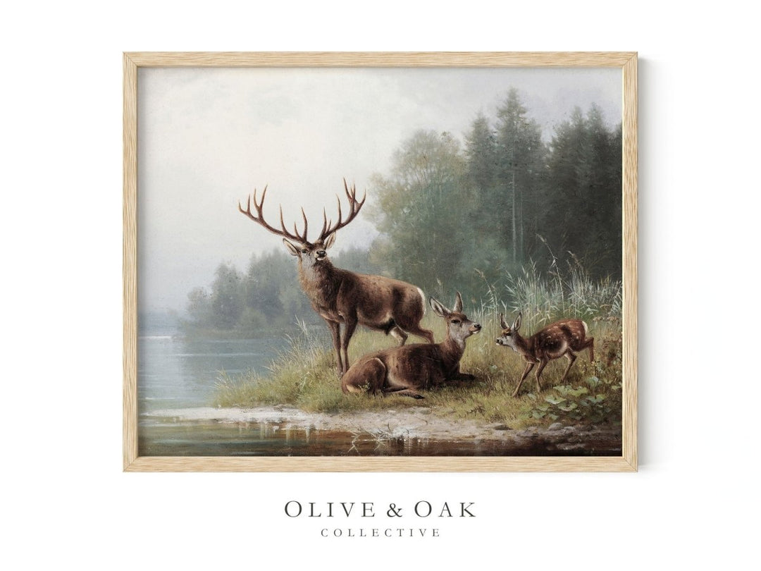 382. BUCK - Olive & Oak Collective