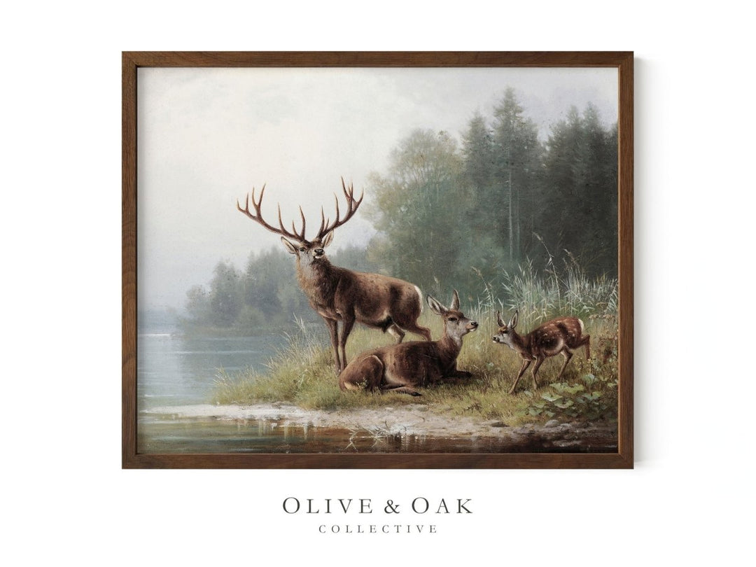 382. BUCK - Olive & Oak Collective