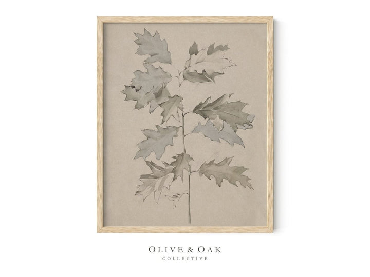 386. OAK BRANCH - Olive & Oak Collective