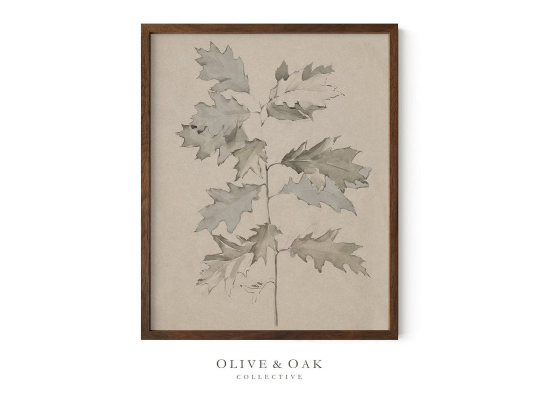 386. OAK BRANCH - Olive & Oak Collective