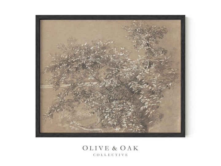395. FRUIT TREE - Olive & Oak Collective