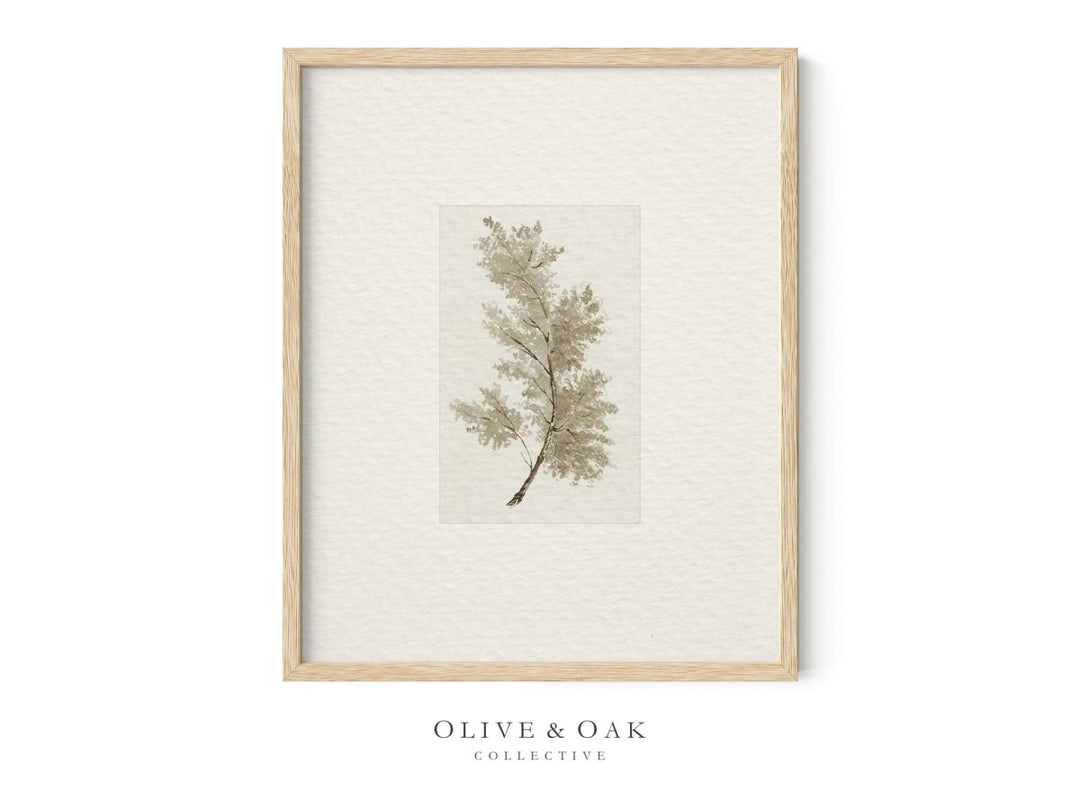 397. NEUTRAL TREES I - Olive & Oak Collective