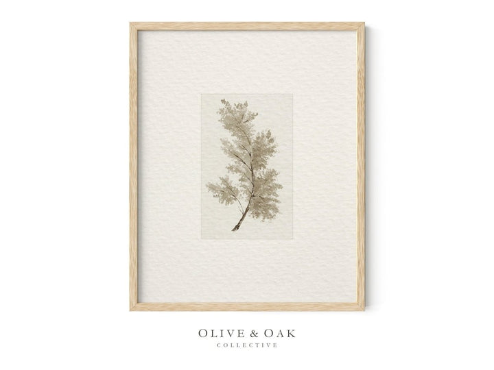 397. NEUTRAL TREES I - Olive & Oak Collective