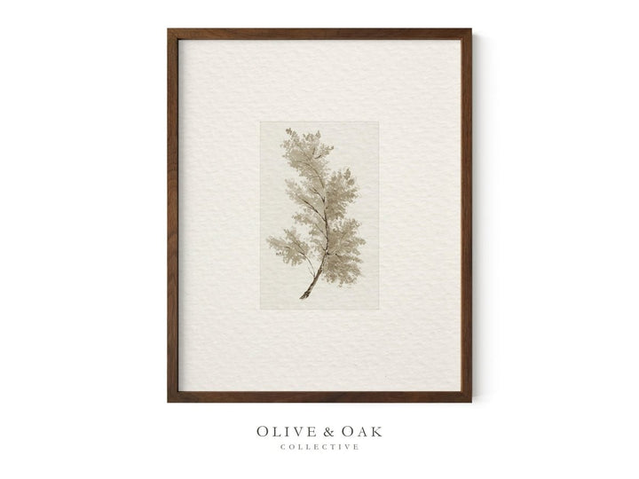 397. NEUTRAL TREES I - Olive & Oak Collective