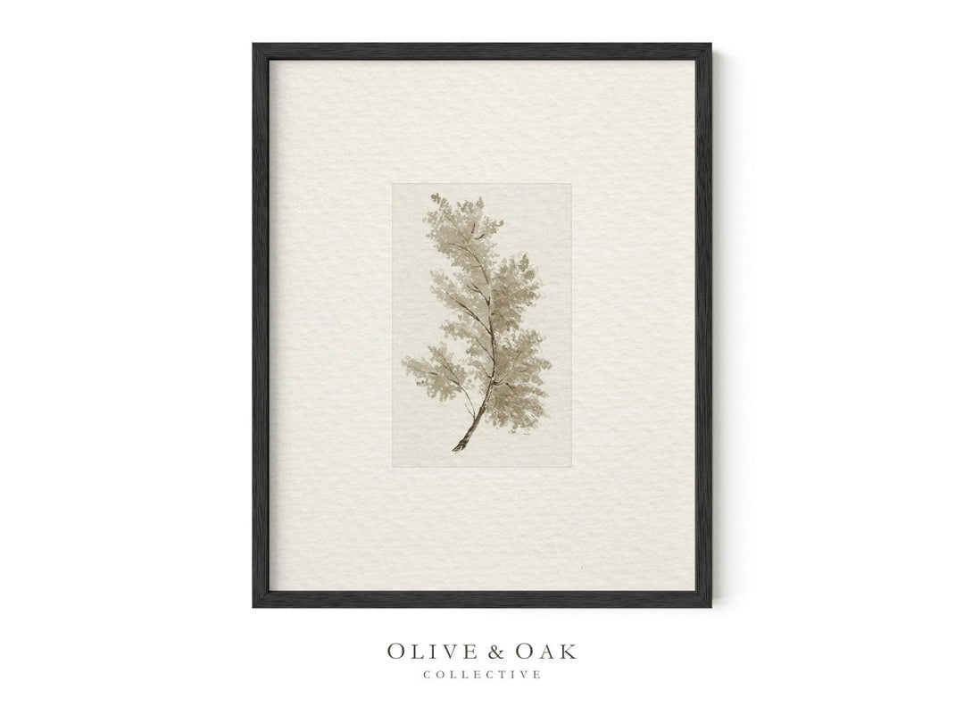 397. NEUTRAL TREES I - Olive & Oak Collective