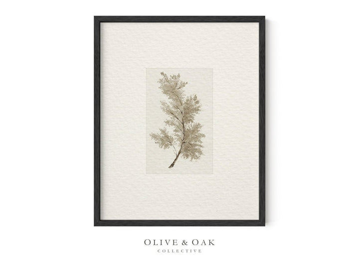 397. NEUTRAL TREES I - Olive & Oak Collective