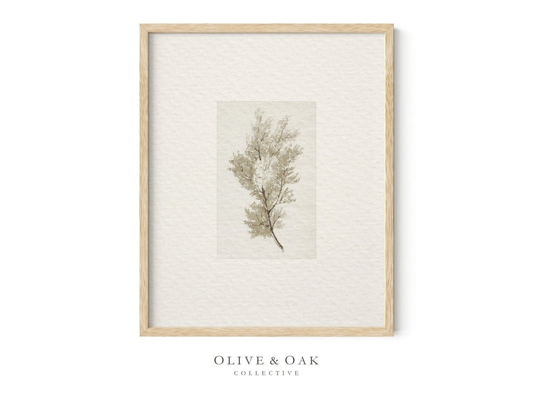 398. NEUTRAL TREES II - Olive & Oak Collective