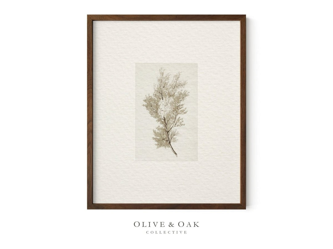 398. NEUTRAL TREES II - Olive & Oak Collective