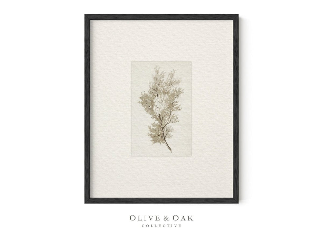 398. NEUTRAL TREES II - Olive & Oak Collective