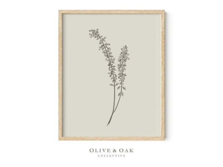 440. BOTANICAL I - Olive & Oak Collective
