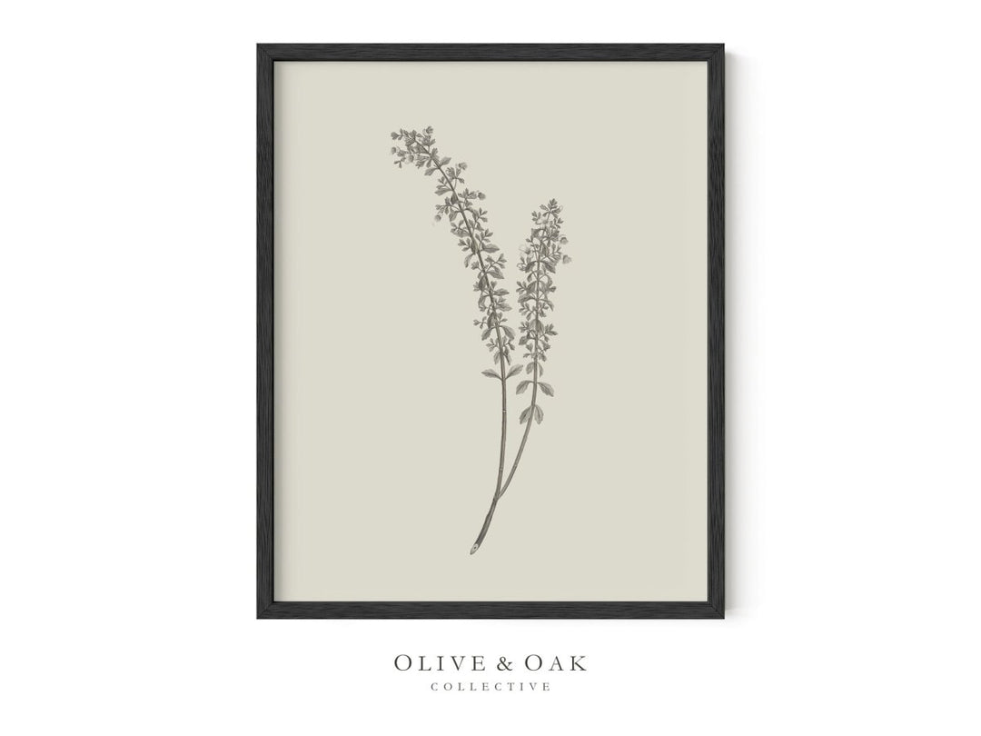 440. BOTANICAL I - Olive & Oak Collective