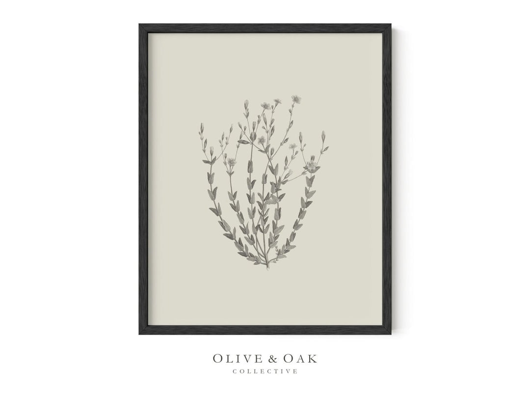 441. BOTANICAL II - Olive & Oak Collective