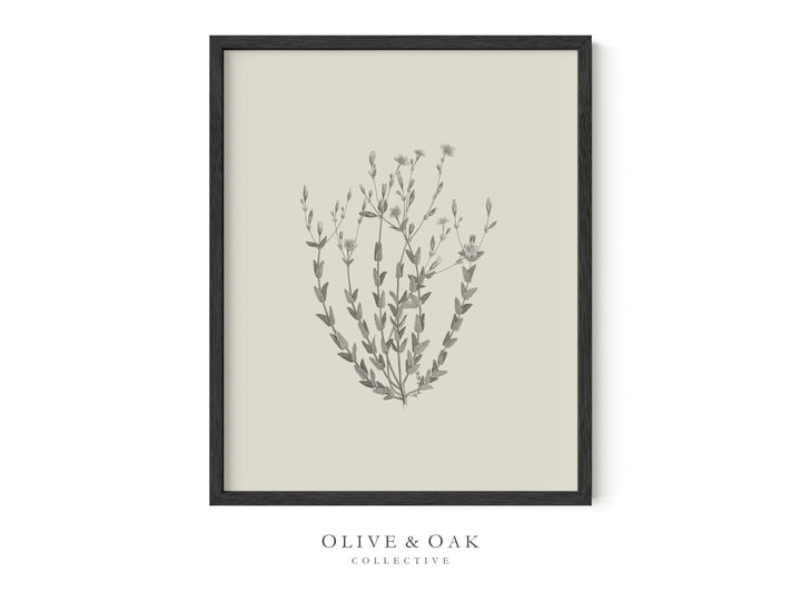 441. BOTANICAL II - Olive & Oak Collective