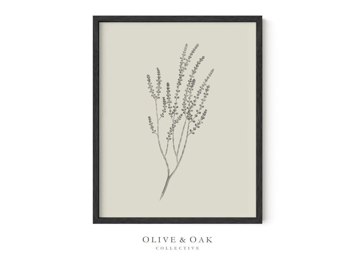 443. BOTANICAL IV - Olive & Oak Collective