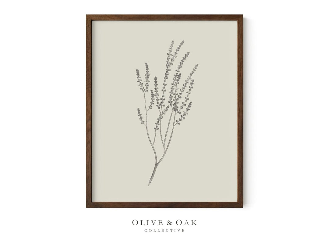 443. BOTANICAL IV - Olive & Oak Collective