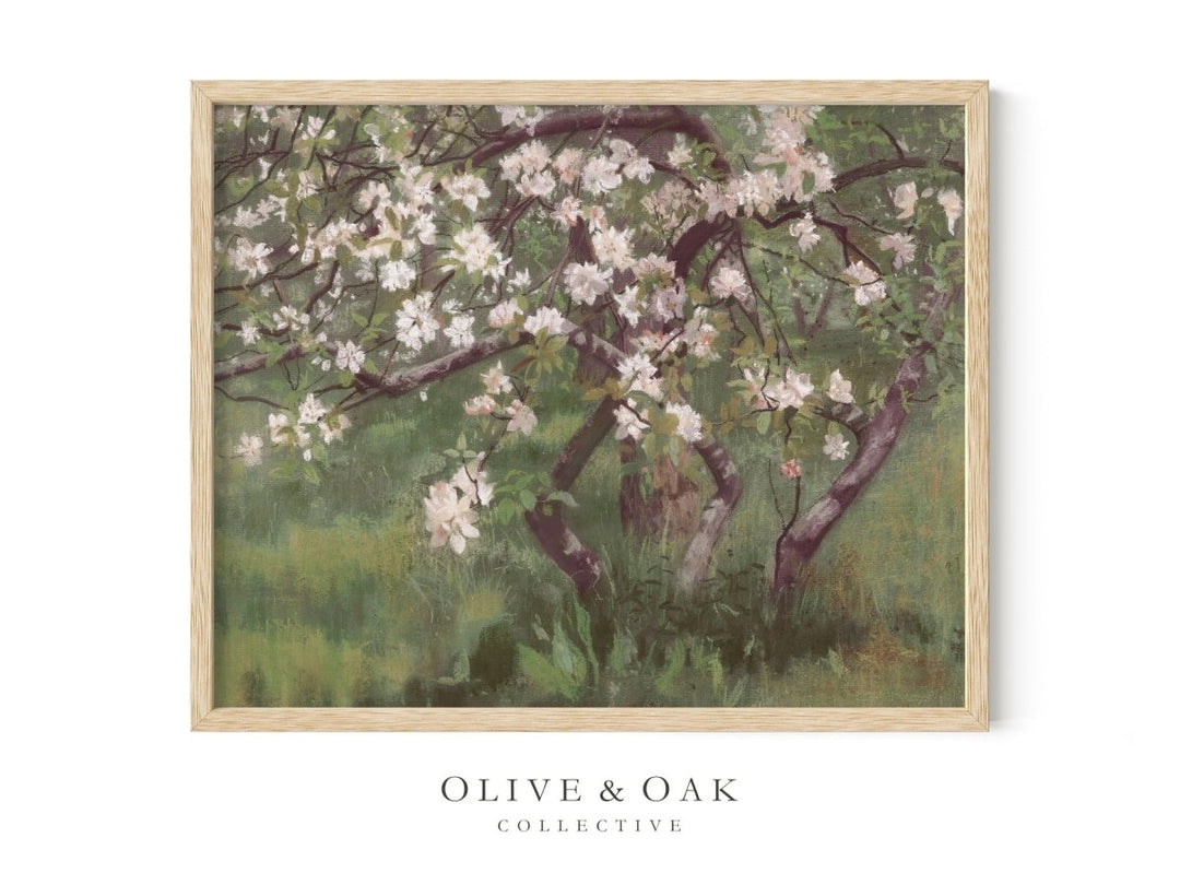 466. APPLE BLOSSOMS - Olive & Oak Collective