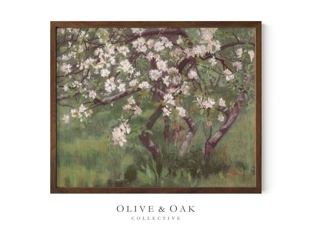 466. APPLE BLOSSOMS - Olive & Oak Collective